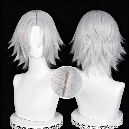 【In Stock】Anime ヒットマンREBORN! Katekyo Hitman Reborn! Cosplay Hayato Gokudera Cosplay Wig
