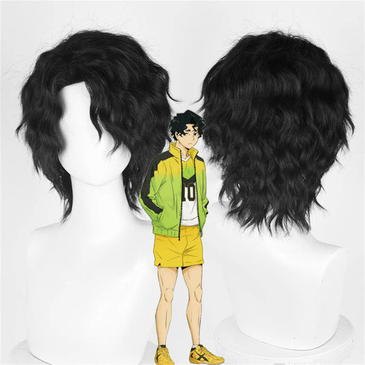 【In Stock】Anime Haikyu!! Cosplay Kiyoomi Sakusa Cosplay Wig