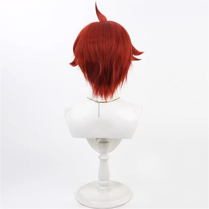 【In Stock】Anime Wonderful Pretty Cure! わんだふるぷりきゅあ！Cosplay Toyama Satoru Cosplay Wig