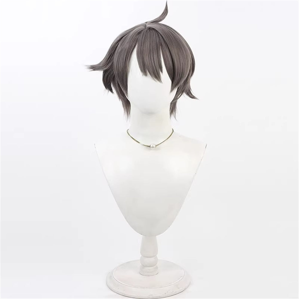【In Stock】Anime Wonderful Pretty Cure! わんだふるぷりきゅあ！Cosplay Toyama Satoru Cosplay Wig