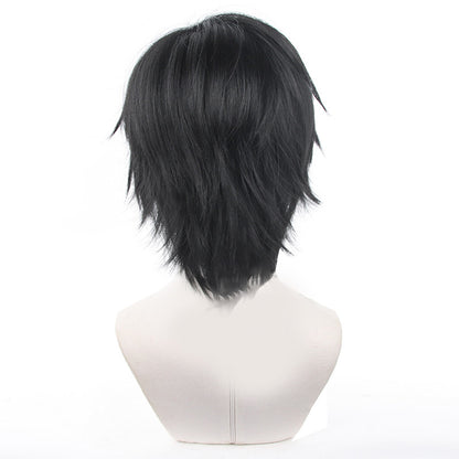 【In Stock】Anime Jujutsu Kaisen Cosplay Toji Fushiguro Cosplay Wig