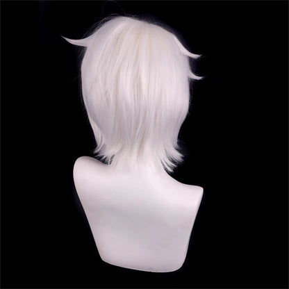 【In Stock】Anime The Case Study of Vanitas Cosplay Noé Archiviste Vanitas Cosplay Wig