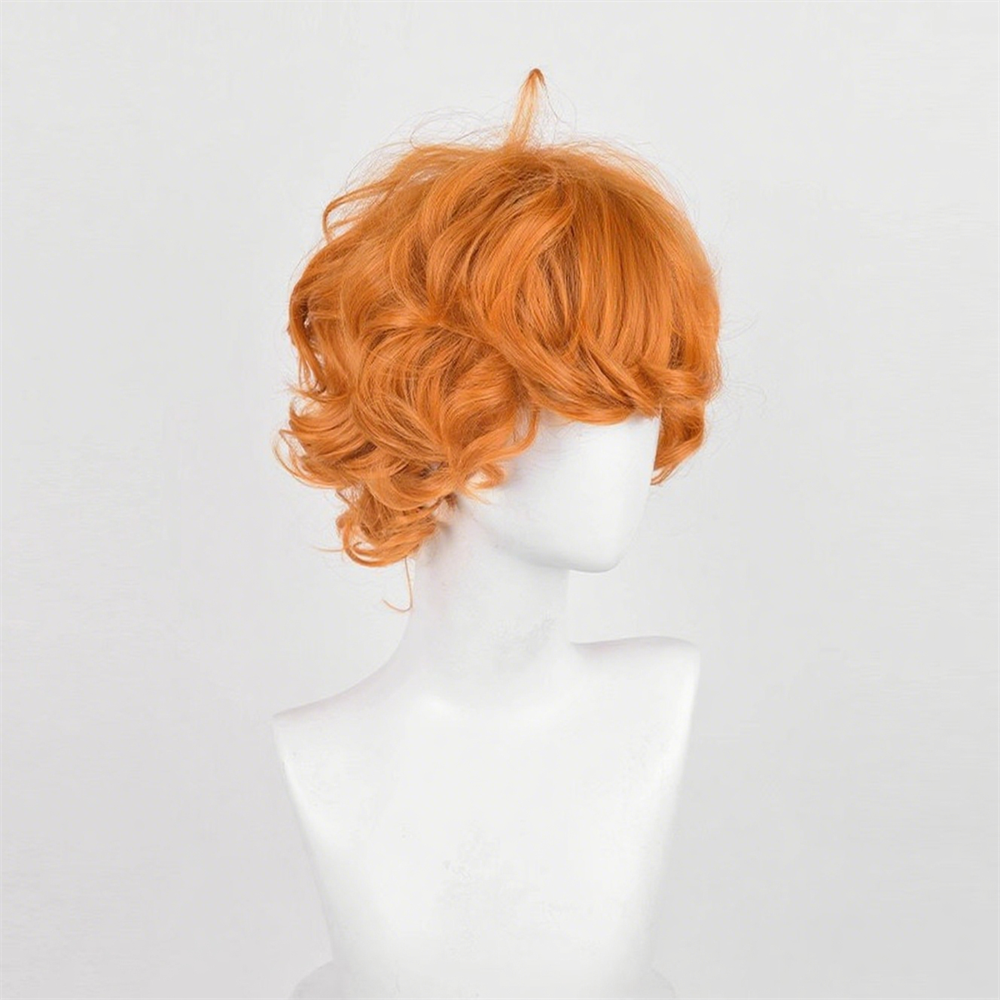 【In Stock】Anime Panty & Stocking with Garterbelt Cosplay Brief Cosplay Wig