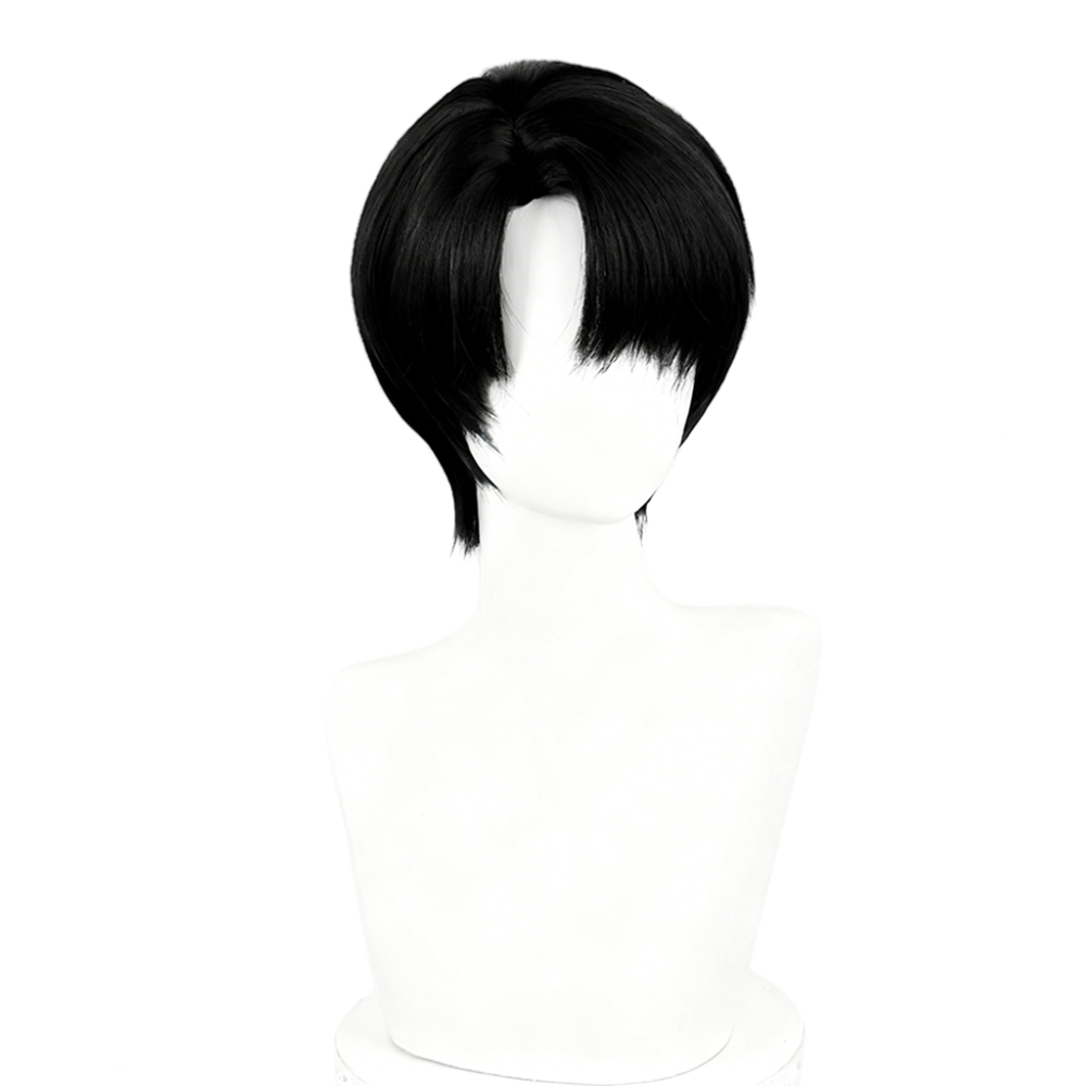 【In Stock】Anime Attack On Titan Cosplay Levi Ackerman Captain Levi Cosplay Wig