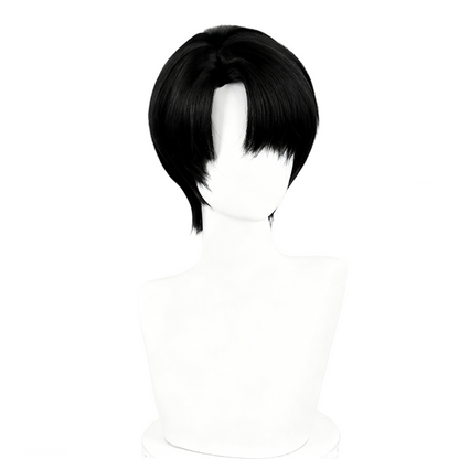 【In Stock】Anime Attack On Titan Cosplay Levi Ackerman Captain Levi Cosplay Wig