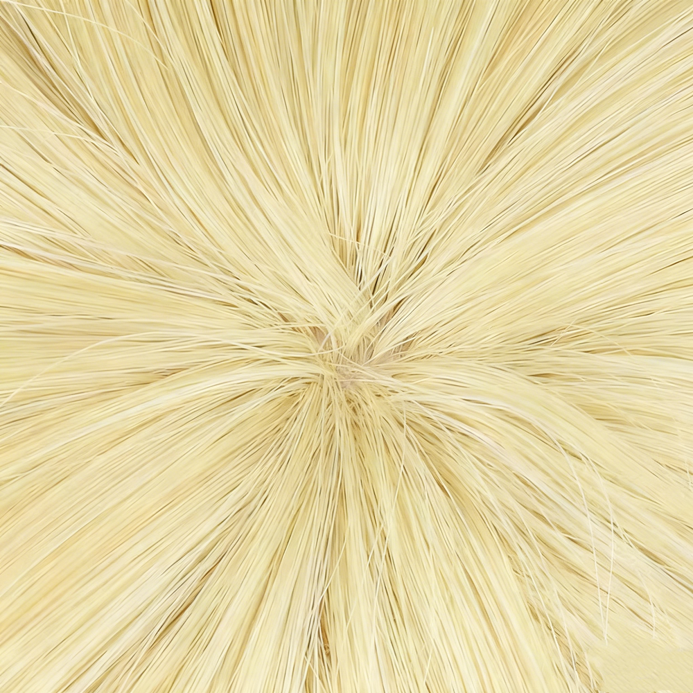 【In Stock】Anime Attack On Titan Cosplay アルミン・アルレルト Armin Arlert Cosplay Wig