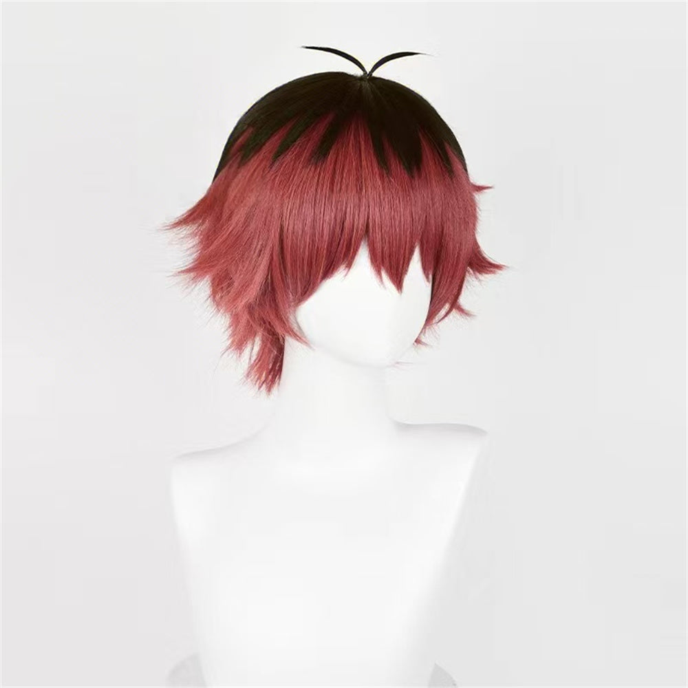 【In Stock】Anime Frieren: Beyond Journey's End Cosplay Stark Cosplay Wig