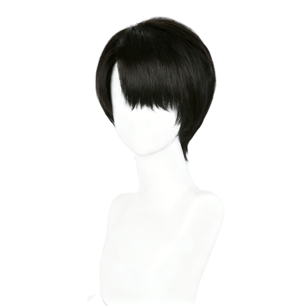 【In Stock】Anime Attack On Titan Cosplay Levi Ackerman Captain Levi Cosplay Wig