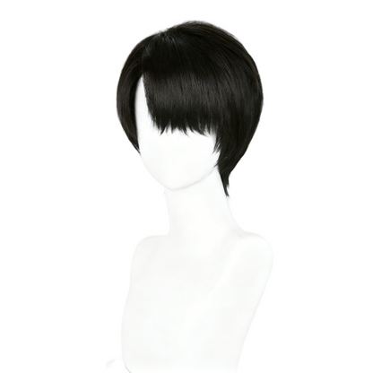 【In Stock】Anime Attack On Titan Cosplay Levi Ackerman Captain Levi Cosplay Wig