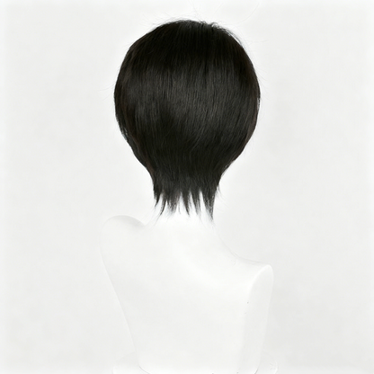 【In Stock】Anime Attack On Titan Cosplay Levi Ackerman Captain Levi Cosplay Wig