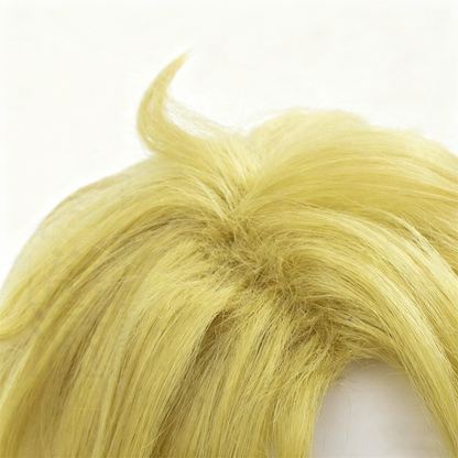 【In Stock】Anime Bungo Stray Dogs Cosplay Doppo Kunikida Cosplay Wig