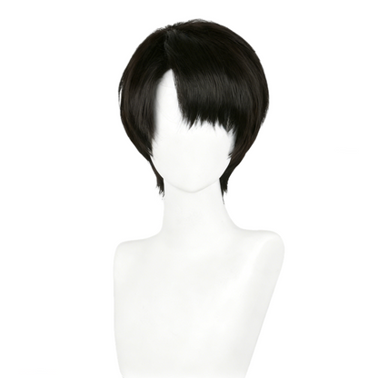 【In Stock】Anime Attack On Titan Cosplay Levi Ackerman Captain Levi Cosplay Wig