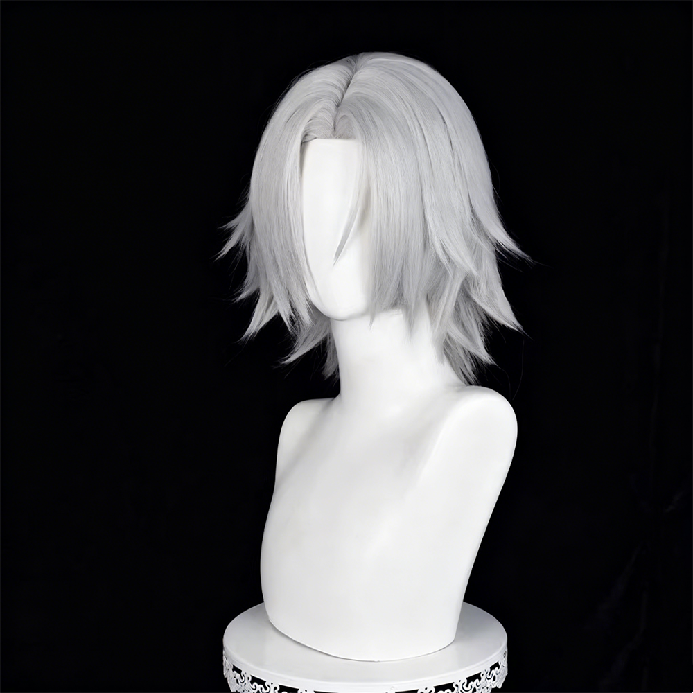 【In Stock】Anime ヒットマンREBORN! Katekyo Hitman Reborn! Cosplay Hayato Gokudera Cosplay Wig