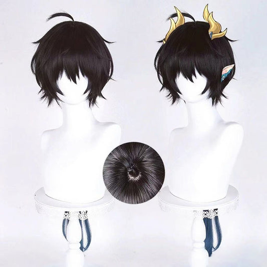 【In Stock】Game Honkai: Star Rail Cosplay Dan Heng • Permansor Terrae Cosplay Wig
