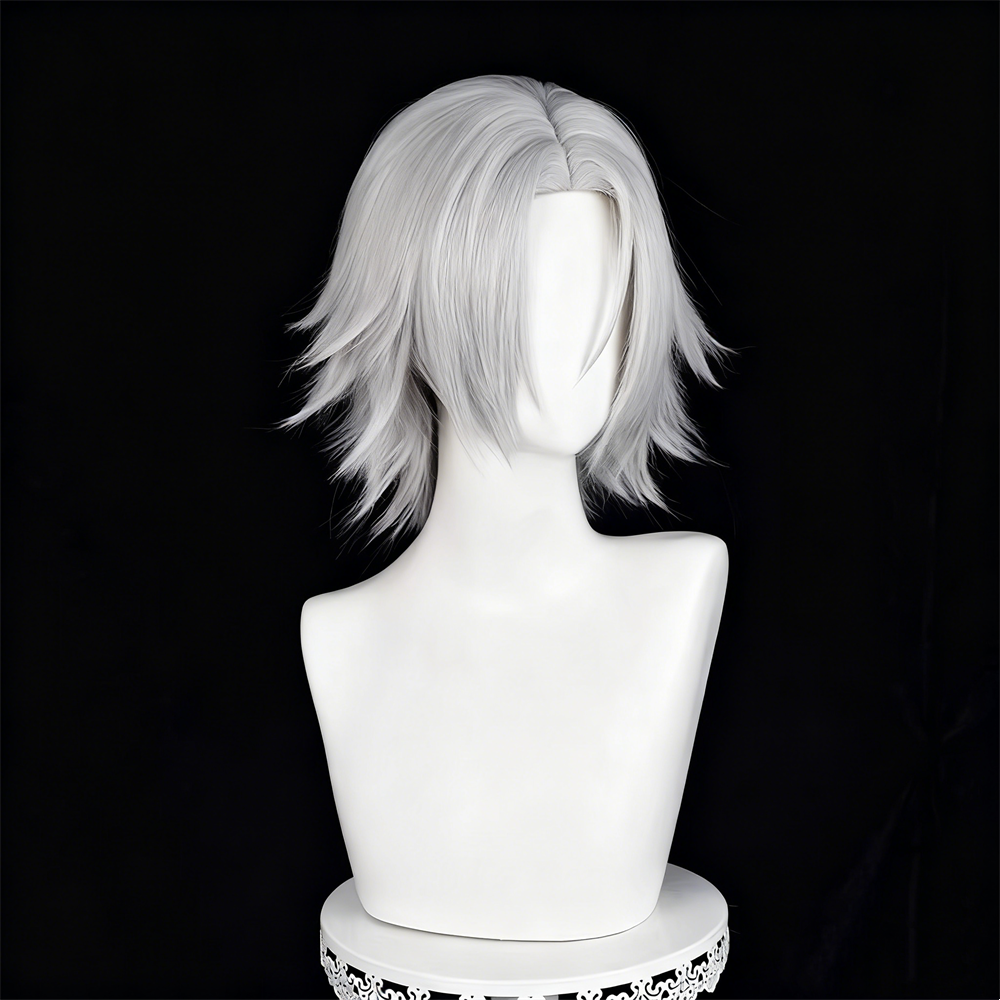【In Stock】Anime ヒットマンREBORN! Katekyo Hitman Reborn! Cosplay Hayato Gokudera Cosplay Wig