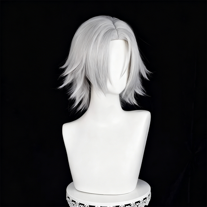 【In Stock】Anime ヒットマンREBORN! Katekyo Hitman Reborn! Cosplay Hayato Gokudera Cosplay Wig