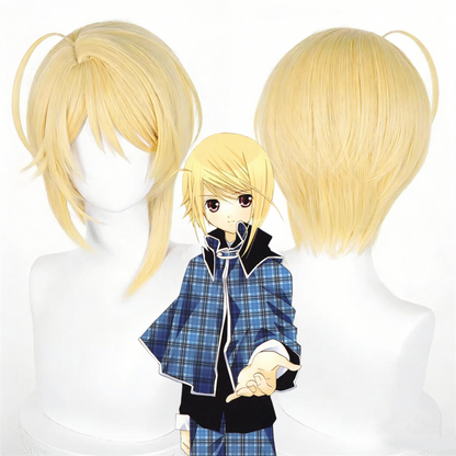 【In Stock】Anime Shugo Chara! Cosplay Tadase Hotori Cosplay Wig