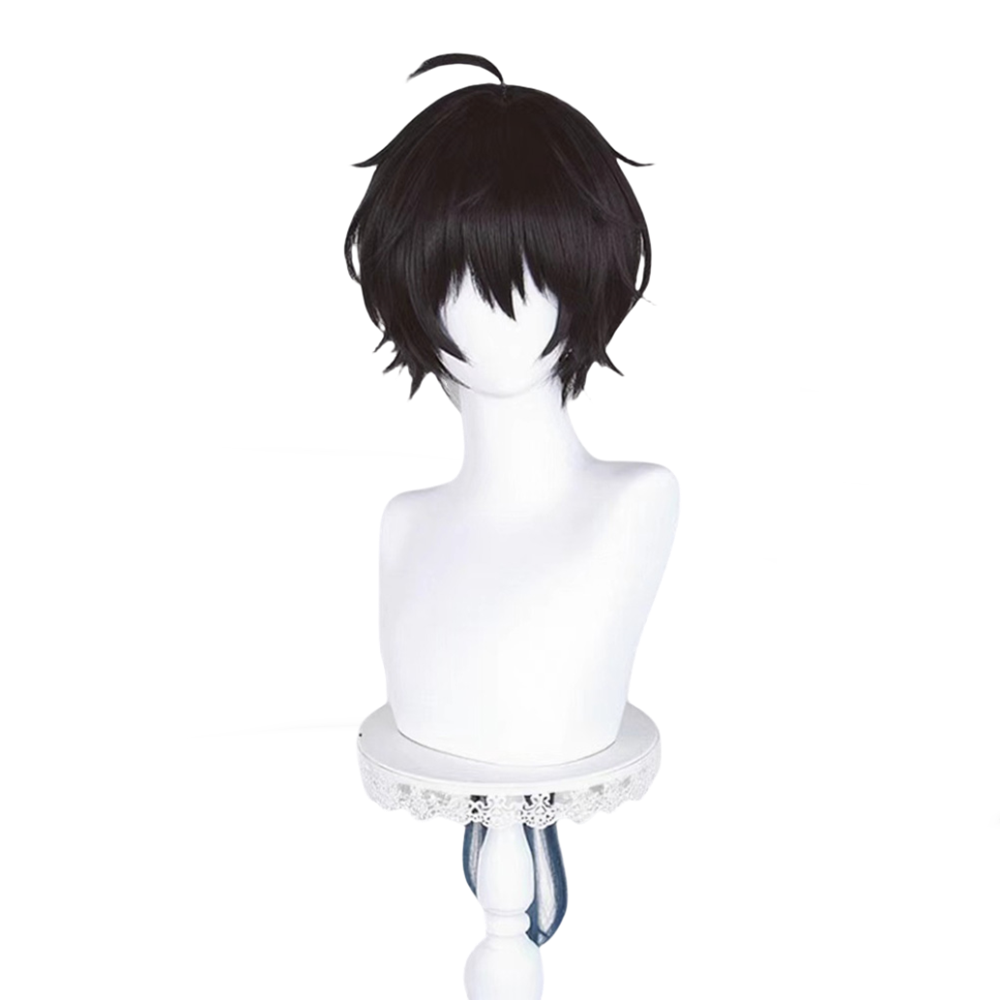 【In Stock】Game Honkai: Star Rail Cosplay Dan Heng • Permansor Terrae Cosplay Wig