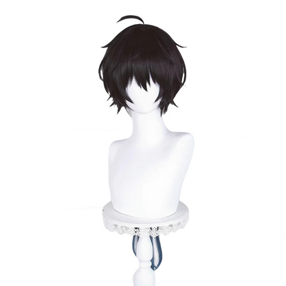 【In Stock】Game Honkai: Star Rail Cosplay Dan Heng • Permansor Terrae Cosplay Wig